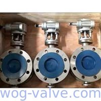 SS Flanged Type Butterfly Valve DN100 125mm Length API ISO Ts CE Certification