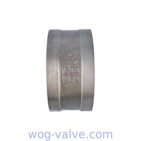 Dual Plate Wafer Check Valve