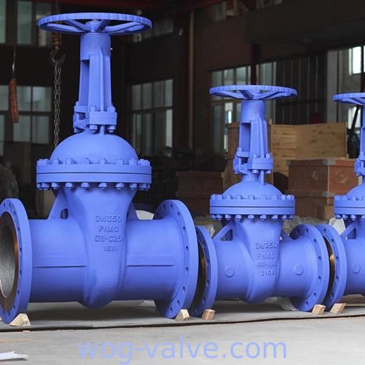 Carbon Steel Bellows Seal Gate Valve Full Port Flanged Gate Valve PN40