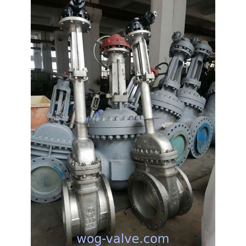 Exteneded Stem Cast Steel Gate Valve 12 Inch CF8 RF 8# Worm Gear Operation