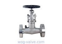 Forged Cryogenic globe valve,extended bonnet,a182 f316L,integral flange,1inch,class 600lb