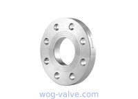 Round Forged Stainless Steel Flanges / Stainless Steel Plate Flange