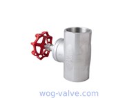 Water Screwed Cover Stainless Steel Globe Valve 200 WOG DIN2999 DN80