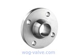 Round Forged Stainless Steel Flanges / Stainless Steel Plate Flange