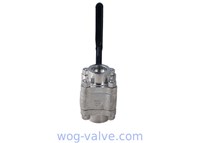 1 Inch 3 Pc Forged Ball Valve A182 F316L Class 800LB Sw Ball Valve
