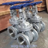 Bolted Bonnet Industrial Gate Valve Solid Wedge Rising Gate ValveWCB 600LB